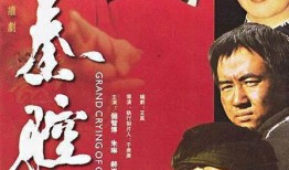 大秦腔 电视剧,秦韵古韵，烽火岁月里的家国情怀