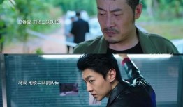 好看的刑侦破案电视剧,探案精英的破案传奇