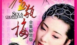 新金瓶梅电视剧,再现明代风华，揭秘西门庆传奇人生