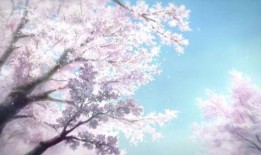 樱花动漫在线观看