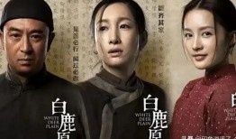 废都电视剧,探寻都市废墟中的情感救赎与人性光辉