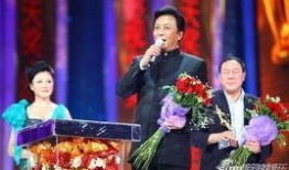 飞天奖电视剧,璀璨星光下的经典之作