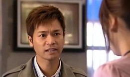 郭晋安电视剧,情感与正义的交织篇章