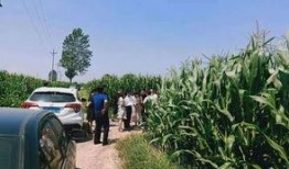 永年产业城吃瓜视频爆料,背后惊人真相曝光